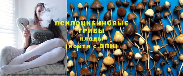мяу мяу мука Арсеньев