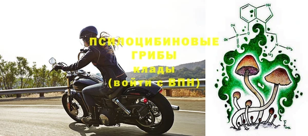 мяу мяу мука Арсеньев