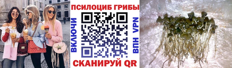 ОМГ ОМГ рабочий сайт  даркнет сайт  Спасск-Дальний  Галлюциногенные грибы MAGIC MUSHROOMS 